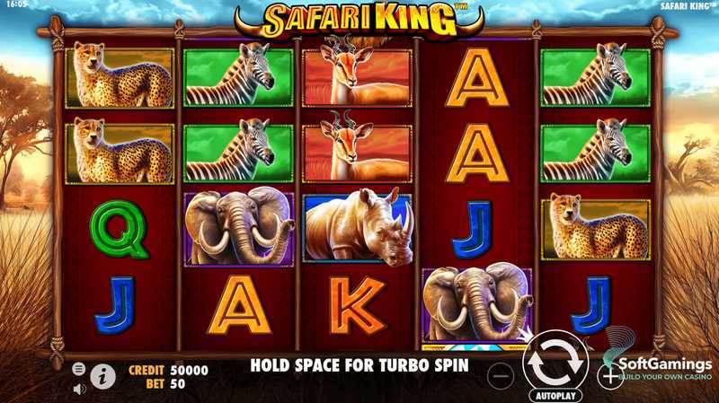 Play Safari King