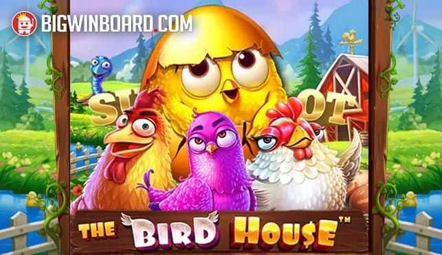 Play The Bird House