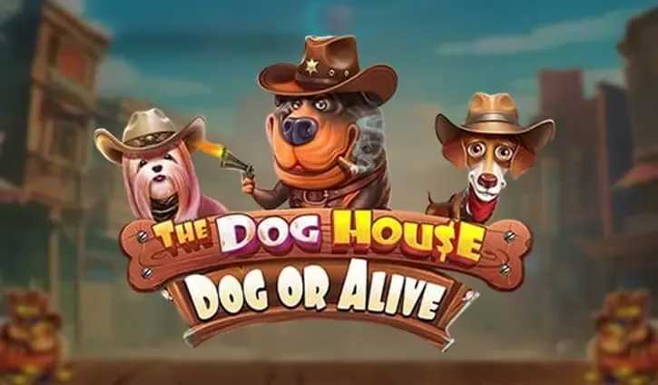 Play The Dog House - Dog or Alive