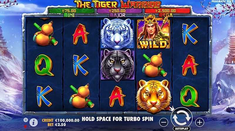 Play The Tiger Warrior