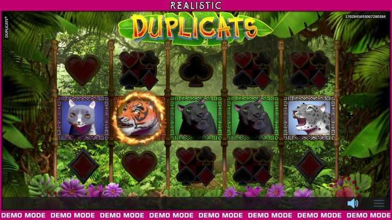 Play Duplicats