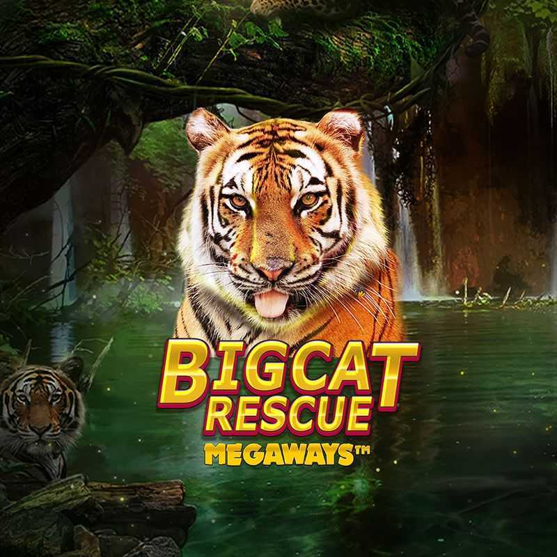 Play Big Cat Rescue Megaways