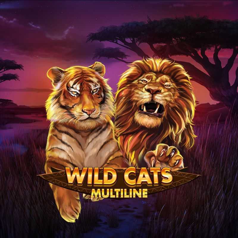 Play Wild Cats Multiline