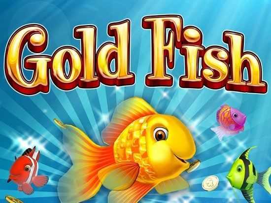Play Wild Gold Fish