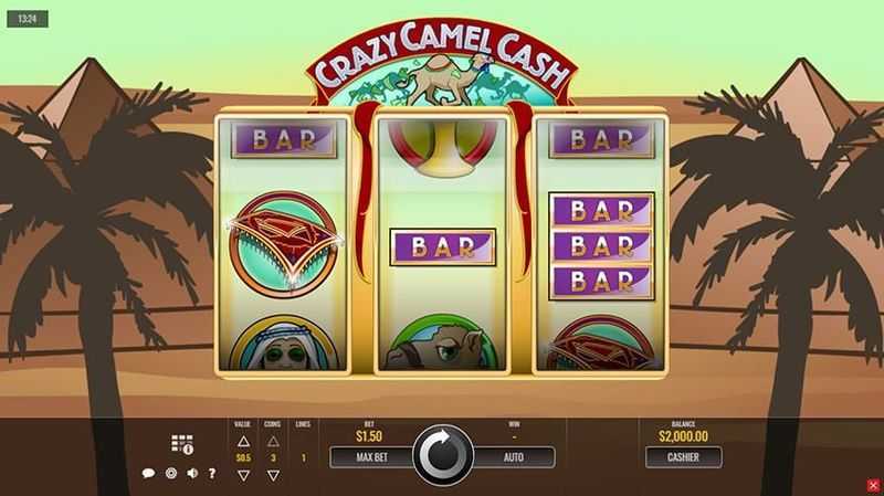 Play Crazy Camel Cash