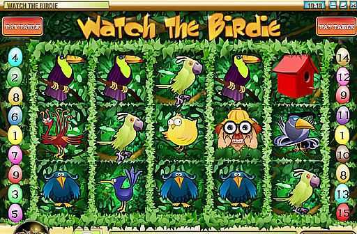 Play Watch the Birdie