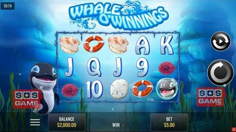 Play Whale O' Winnings