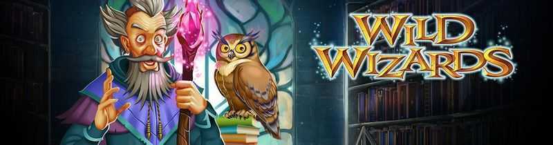 Play Wild Wizards