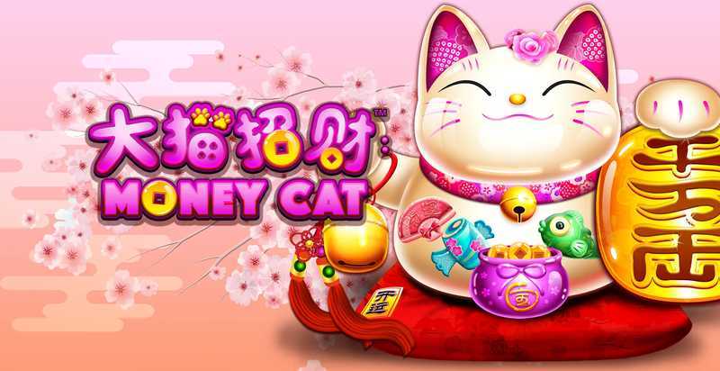 Da Mao Zhao Cai Money Cat Da Mao Zhao Cai Money Cat