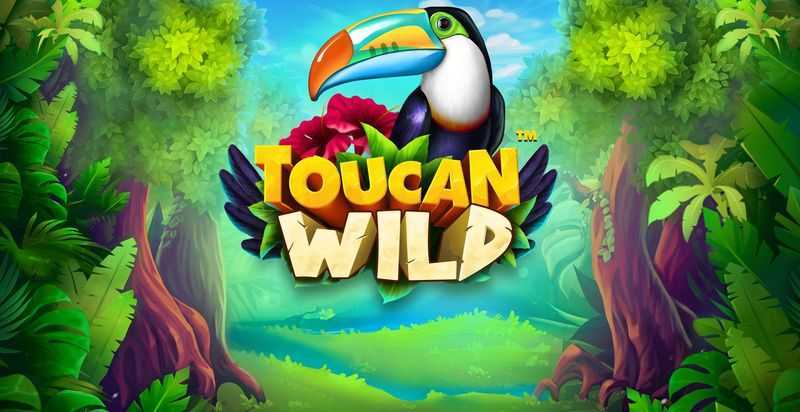 Play Toucan Wild