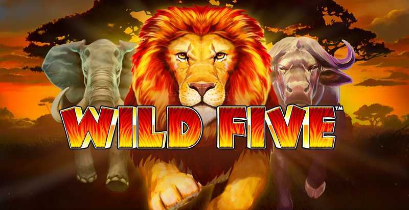 Play Wild Five