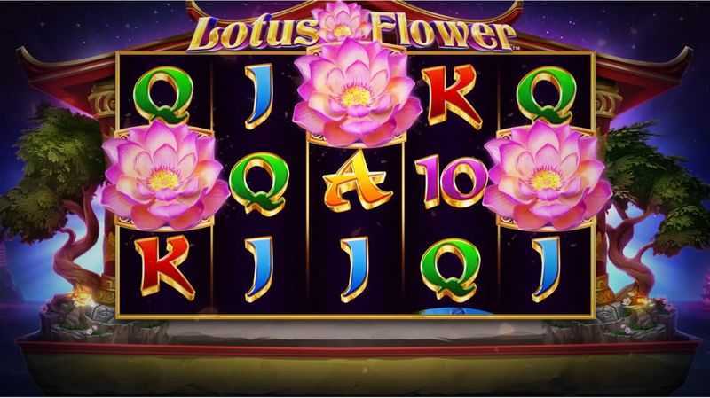 Play Lotus Beauty