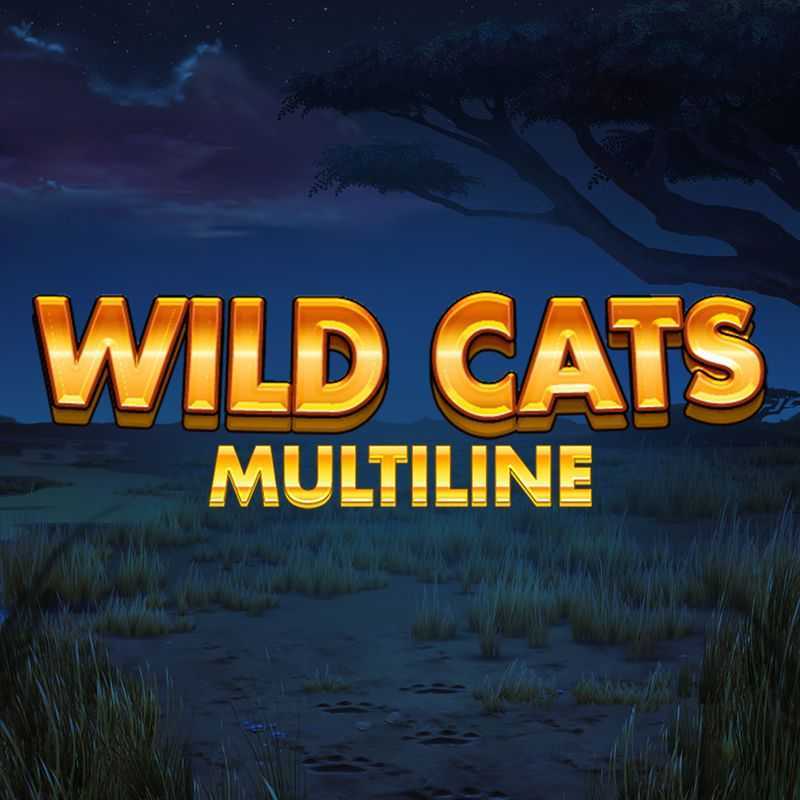 Play Wild Cat