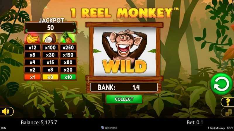 Play 1 Reel Monkey