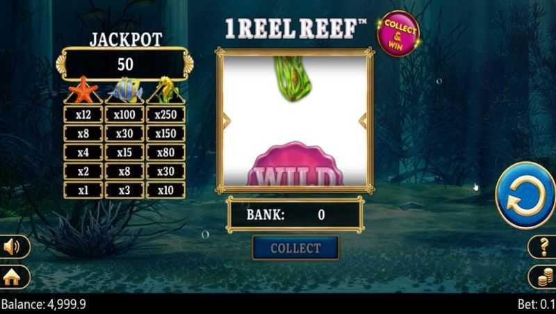 Play 1 Reel Reef