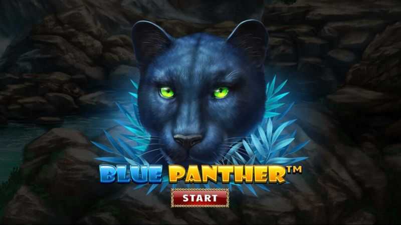 Blue Panther Christmas Edition Blue Panther Christmas Edition
