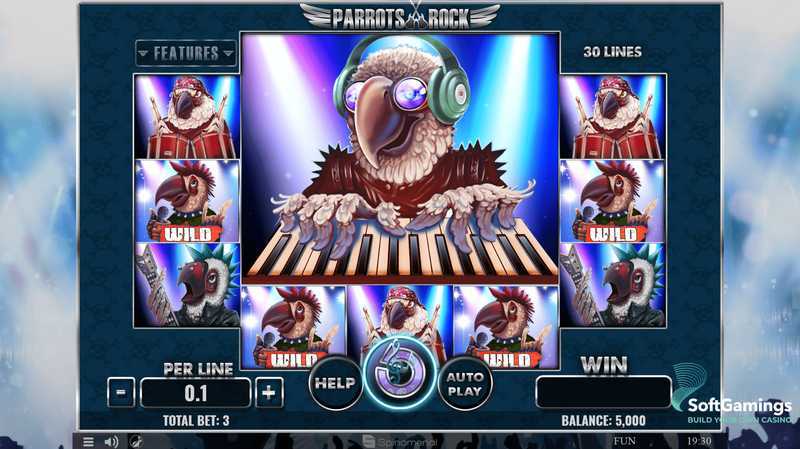 Play Parrots Rock