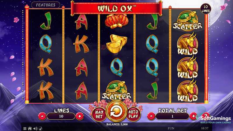 Play Wild Ox