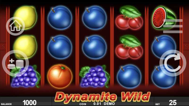 Play Dynamite Wild