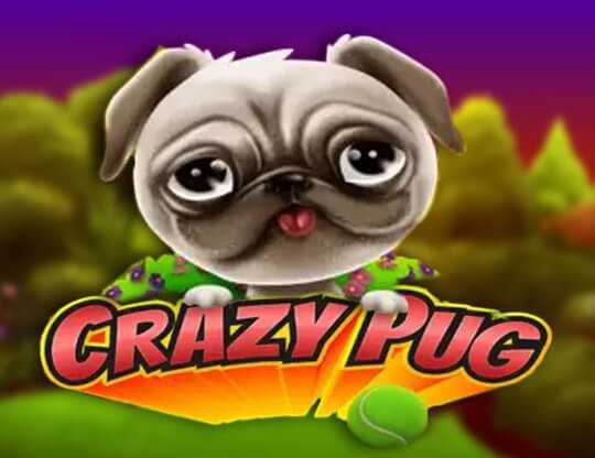 Play Crazy Pug