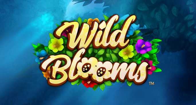 Play Wild Bloom