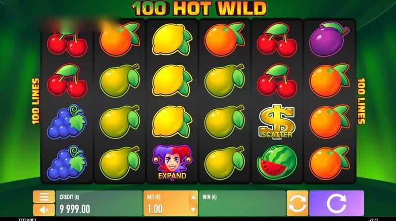 Play Hot Wild 5