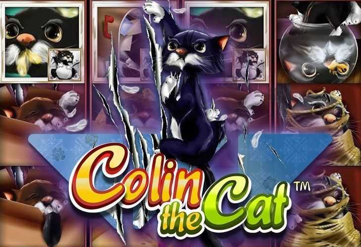 Slot Colin the Cat