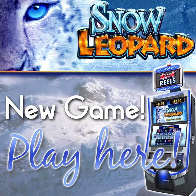 Play Snow Leopard