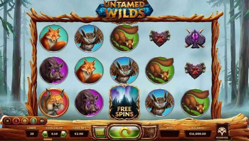 Play Untamed Wilds